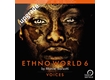 Ethno World 6 Voices Upgrade